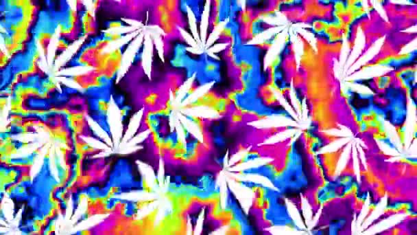 Cannabis Psicodélico Abstracto Deja Patrón Fondo Gráfico Movimiento Imágenes Bucle — Vídeo de stock