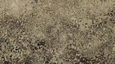 Soyut dalga döngüsü videosu. Döngü oynatma için kusursuz grunge arkaplanı. Sadece hareket eden grunge yüzeyi, Vintage arkaplanı