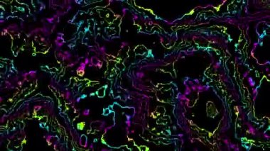 4k 'lık soyut döngü videosu. Döngü oynatmak için kusursuz soyut dalgalı holografik psikedelik arka plan. Dalgalı yüzey.