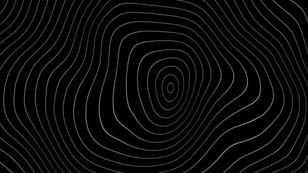 Lignes Pulsation Hypnotiques Boucle Sans Couture Cercles Concentriques Séquences — Video