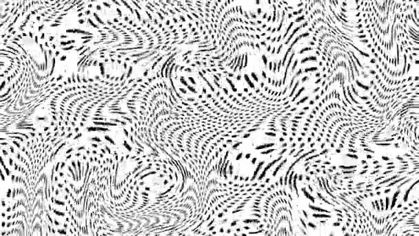 抽象循环4K视频 无缝隙的抽象波状迷幻背景音乐 用于循环播放 单色运动波浪面 — 图库视频影像