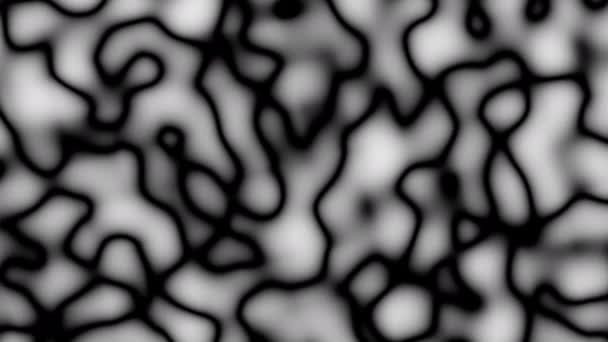 在白色背景上波浪黑线 循环4K动画抽象分形数字线条背景 简单的单色波 — 图库视频影像