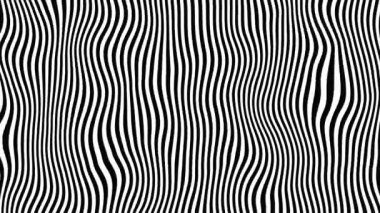 Kırışmış buruşuk şekilli siyah beyaz zig zag çizgileri olan optik illüzyon. Dikey ve çizgili siyah beyaz monokrom resim, tercih edilen sanat döngüsü video tarzında çizgiler