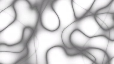 Beyaz arka planda soyut dalga siyah çizgiler. Soyut fraktal dijital çizgi arkaplanının 4k animasyonu. Basit monokrom dalgaları.