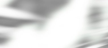 Beyaz desenli bir duvarın üzerine organik gölge konmuş soyut bir arkaplan..