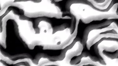 Bu büyüleyici soyut görüntüye dalın. Karmaşık siyah beyaz dokular, organik şekiller, tüm yaratıcı projeleriniz için ideal.