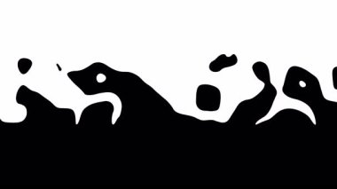 Beyaz ve siyah arkaplan döngü animasyon videosundaki eğri çizgisi