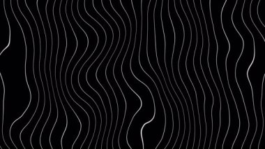 Dinamik ve modaya uygun soyut animasyonlar, siyah arka planda akan beyaz çizgiler. Siyah ve beyaz çizgiler. Soyut dalgalı çizgilerin kusursuz canlandırması