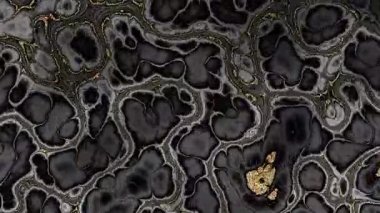 Parıldayan altın aksanlarla bezenmiş zarif siyah ve beyaz mermer dokular lüks ve modern bir soyut tasarım yaratır. Döngü arkaplanı