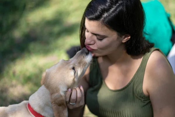 Латинська Жінка Яка Сидить Парку Отримує Поцілунки Від Свого Собаки — стокове фото