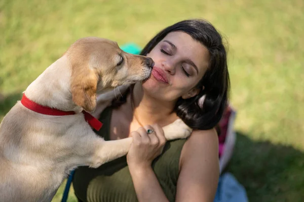 Latin woman sitting in the park receiving kisses from her dog. Overhead shot