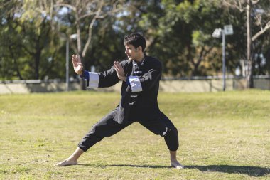 Genç adam parkta Kung Fu çalışıyor.