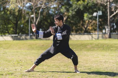 Young man practicing Kung Fu in the park clipart