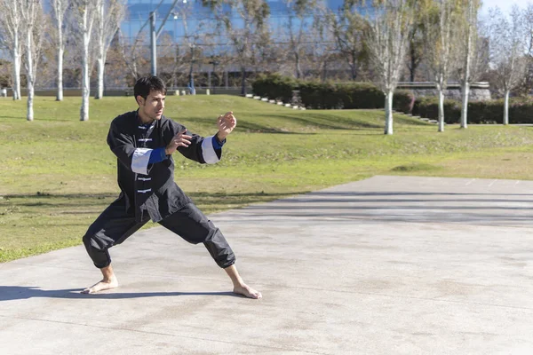 Jeune Homme Pratiquant Kung Dans Parc — Photo