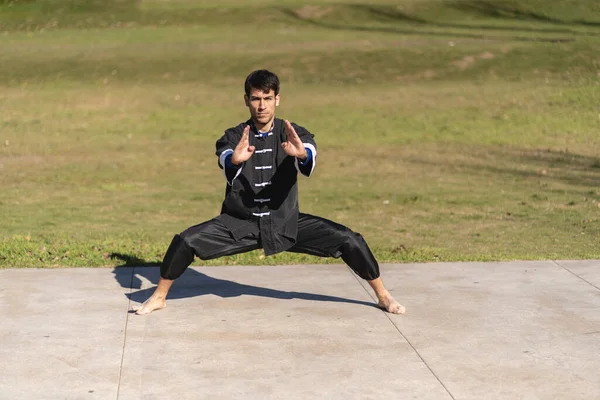 Jovem Praticando Kung Parque — Fotografia de Stock
