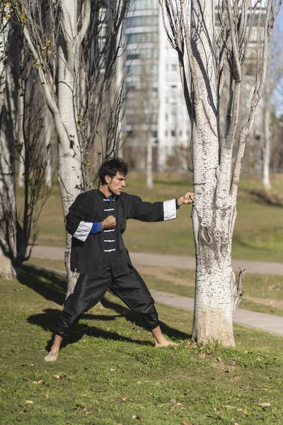 Kung Gyakorló Fiatalember Parkban — Stock Fotó