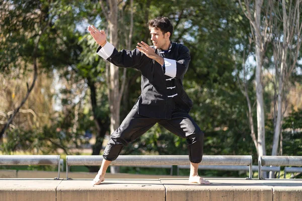 Jeune Homme Pratiquant Kung Dans Parc — Photo