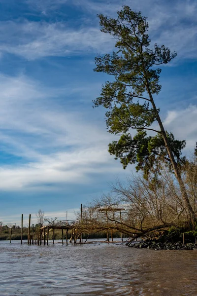 Blick Auf Das Traditionelle Inselgebäude Tigre Delta Argentinien Flusssystem Des — Stockfoto