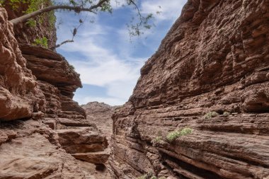 Şeytanın boğazını görmek, Cafayate, Salta, Arjantin