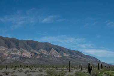 A view of Los Cardones National Park in Salta, Argentina clipart