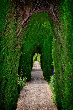 Granada İspanya 'daki Alhambra bahçelerinin manzarası