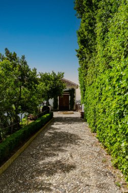 Granada İspanya 'daki Alhambra bahçelerinin manzarası