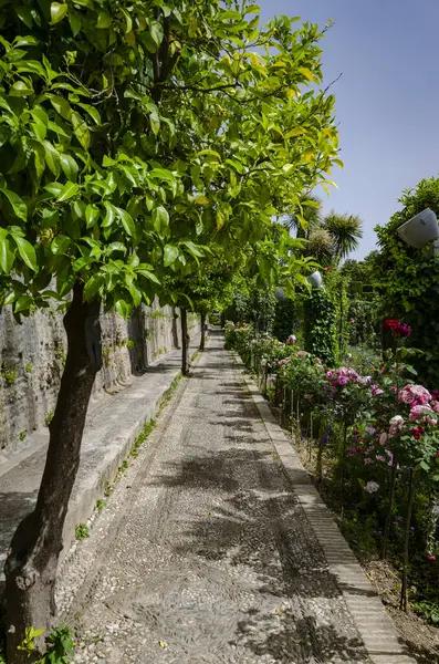 Granada İspanya 'daki Alhambra bahçelerinin manzarası