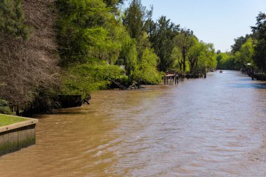 Arjantin 'deki Tigre deltasındaki geleneksel adaların manzarası, başkenti Buenos Aires' ten Parana Delta North 'un nehir sistemi.