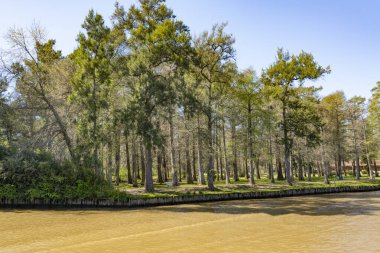 Arjantin 'deki Tigre deltasındaki geleneksel adaların manzarası, başkenti Buenos Aires' ten Parana Delta North 'un nehir sistemi.