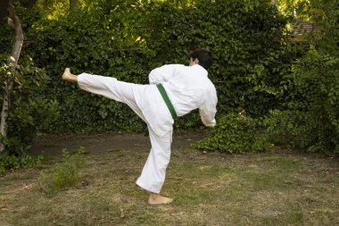 Teenager practicing Taekwondo in the park clipart