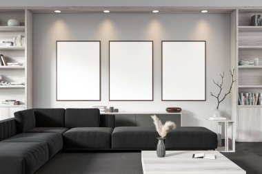 Modern living room interior sofa and bookshelf with decoration, coffee table on carpet, black hardwood floor. Three mock up canvas posters in row. 3D rendering
