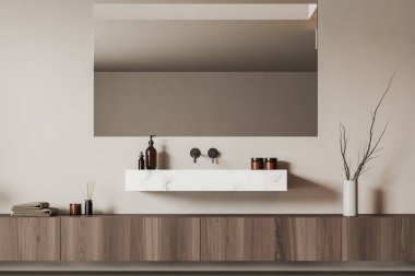 Front close up view on bright bathroom interior with large mirror, sink, white walls, shelf with shampoo and towels. Concept of water treatment. 3d rendering