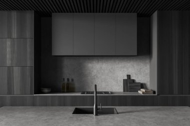 Front view on dark kitchen room interior with cupboard, grey wall, sink, plates, oil, towel, vase, gas cooker. Concept of minimalist design. 3d rendering