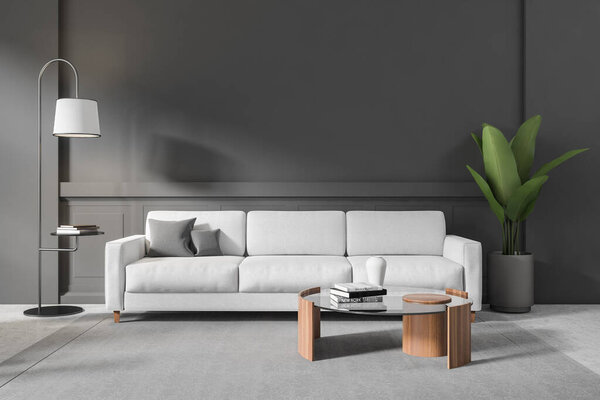 Dark living room interior sofa with coffee table on carpet, plant and lamp, stand with books on grey concrete floor. Mockup empty wall, 3D rendering