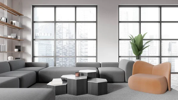 Kanepe Koltuk Sanat Dekorasyonu Rafları Olan Modern Oturma Odası Panoramik — Stok fotoğraf