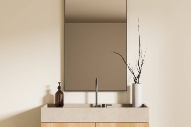 İçi lavabo ve aynayla dolu beyaz banyo, kurutulmuş çiçekli vazo ve bej beton güvertede sabun şişesi. Otel banyo aksesuarları. 3B görüntüleme
