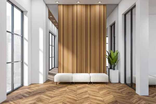 Interior Sala Estar Branca Com Pufe Sofá Planta Chão Madeira — Fotografia de Stock