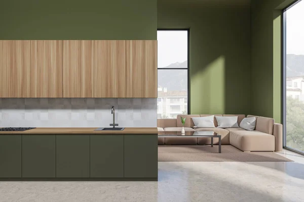 Green Studio Interior Sofa Carpet Corner Kitchen Shelves Sink Stove — Stock Photo, Image