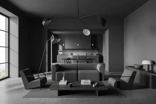 Interior Stylish Living Room Gray Walls Concrete Floor Gray Sofa — Stock Photo, Image