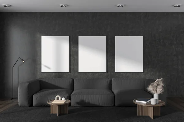 Mörk Relaxrum Interiör Med Soffa Soffbord Med Konst Dekoration Matta — Stockfoto