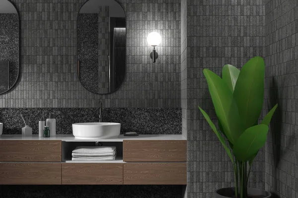 Moderno Tranquilo Cuarto Baño Interior Con Comodidades Modernas Encanto Rústico — Foto de Stock