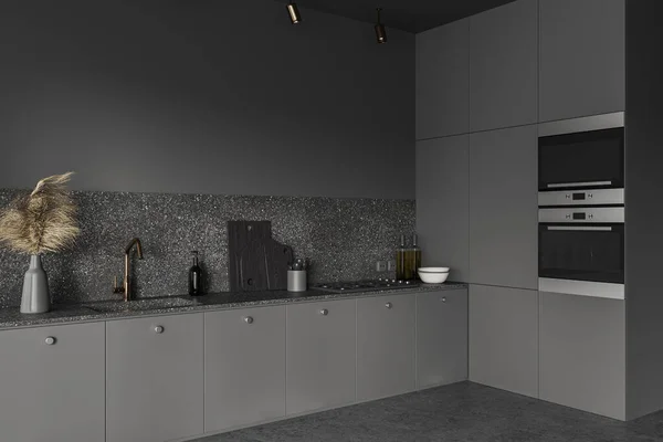 Dark Home Kitchen Interior Sink Minimalist Kitchenware Side View Oven — Stock Photo, Image