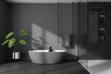 Banyo, küvet, duş, cam bölme, ev bitkisi, gri duvarlar, beton zemin, şampuan. Su arıtma kavramı. Modern tasarım. 3d oluşturma