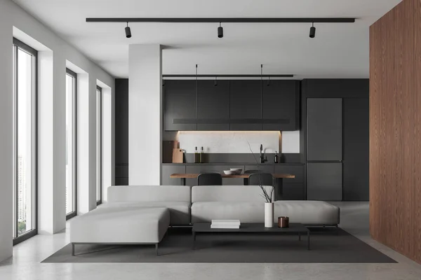 Interieur Van Moderne Studio Flat Woonkamer Met Witte Grijze Muren — Stockfoto