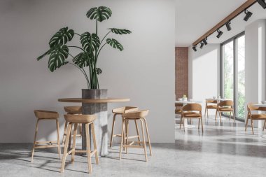 Beyaz restoranın içi ahşap tabure ve sıralı masalarla aydınlık beton zemin. Bölümü ve bitkisi olan minimalist kafeterya, tropik bölgelerde panoramik pencere. 3B görüntüleme