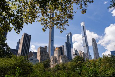 New York gökdelenleri, Central Park 'taki bulutlu gökyüzünün altındaki yeşil ağaçlar. Şehir merkezi binaları, megapolis ve finans ticaret merkezi. Manhattan ve iş şehirleri