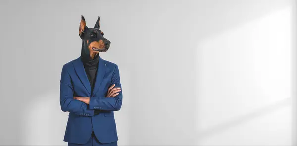 Portrait of confident businessman with dog head standing with crossed arms near white copy space wall. Concept of leadership
