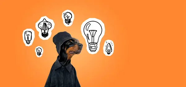 Dobermann dog head in bucket hat, different light bulbs doodle drawing in row on orange background. Concept of animal, idea, creativity and business plan