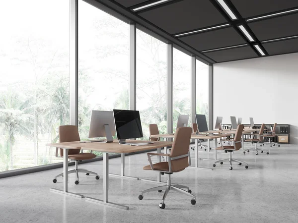 Corner view of white coworking interior with pc computers on table in row, workplace with armchairs and desk on light concrete floor. Panoramic window on tropics. 3D rendering