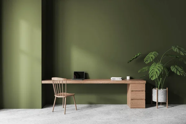 Interior of stylish home office with green walls, concrete floor, comfortable wooden table with laptop and big potted plant. 3d rendering